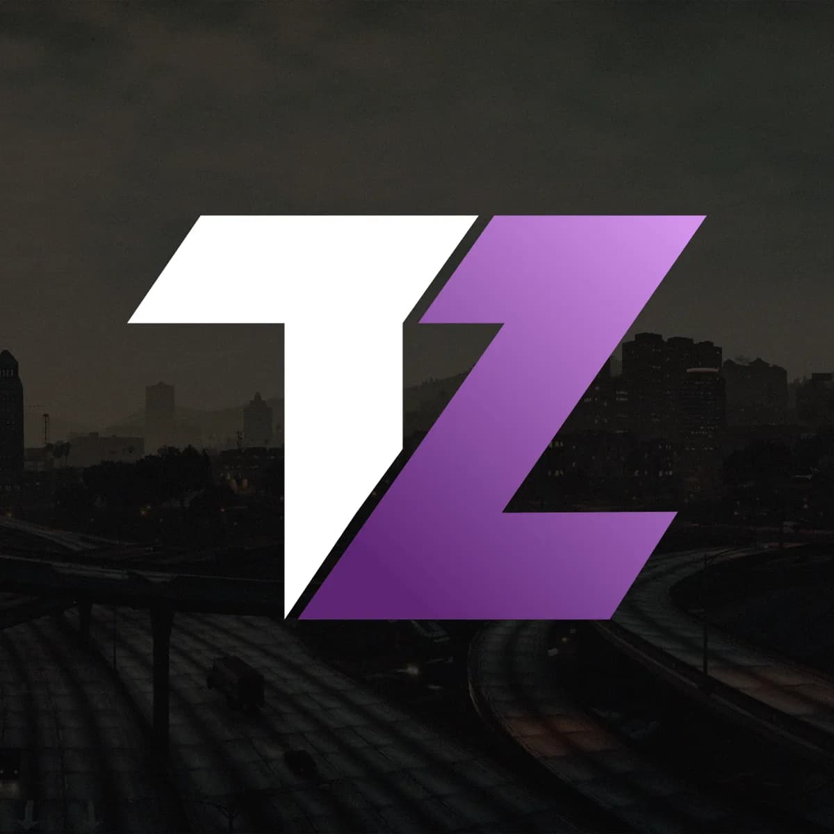 TZ Project – FiveM PvP Softwares